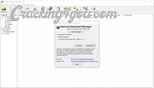 Internet download manager crack